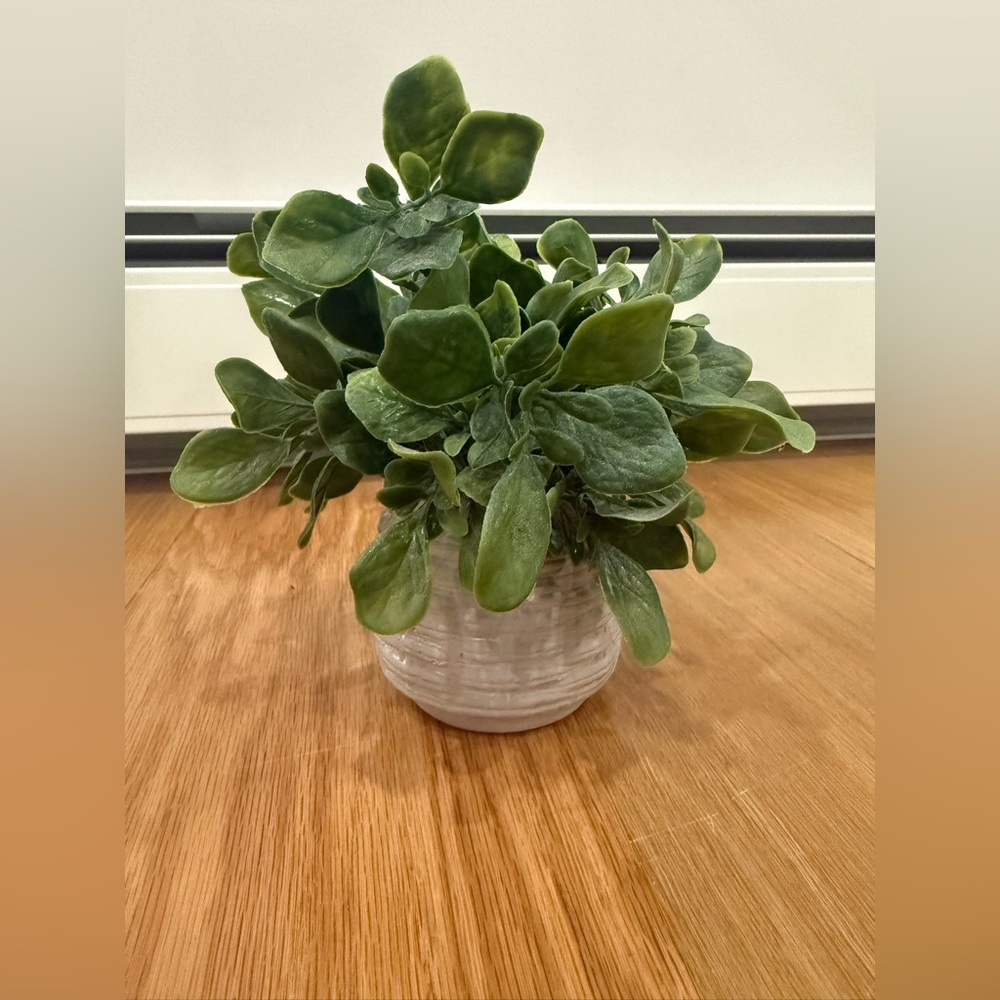 Greenery in White Textured Pot